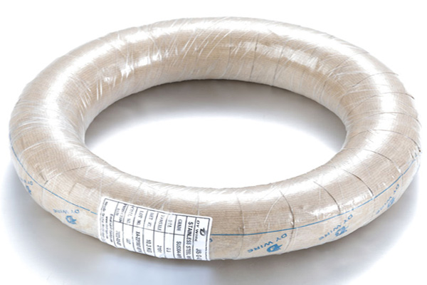 Brevis introductio ad vere ferro filum