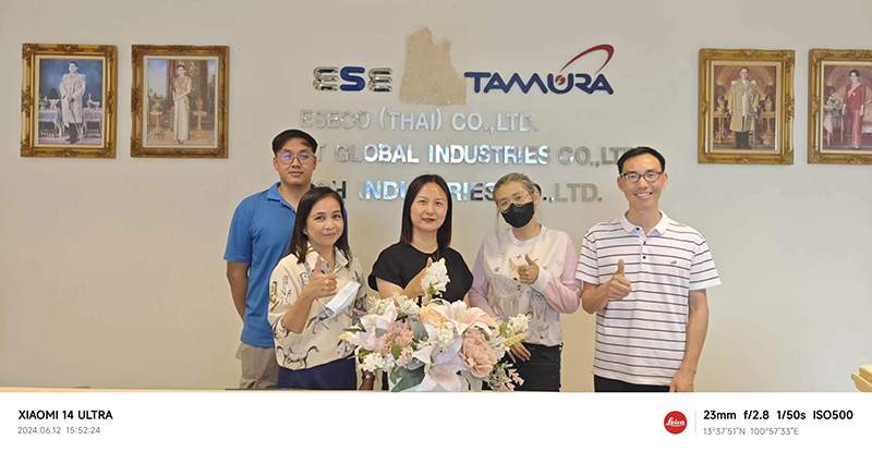 Negotium Thailand pro immaculata ferro filis